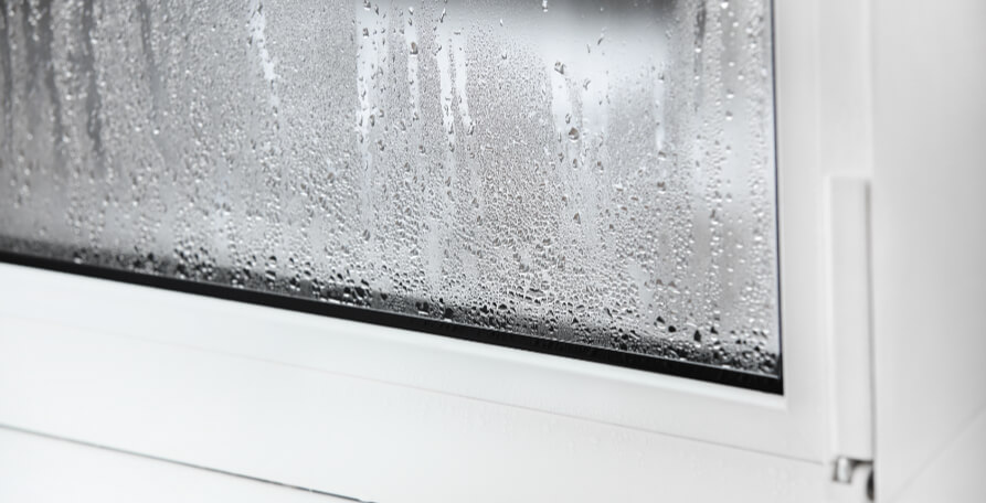 Kondenswasser am Fenster: Was tun bei beschlagenen Fenstern?